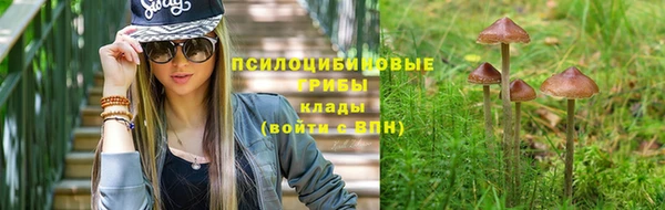 прущие грибы Кодинск