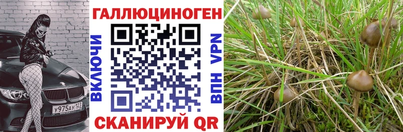 Галлюциногенные грибы Cubensis  наркотики  Ковылкино 
